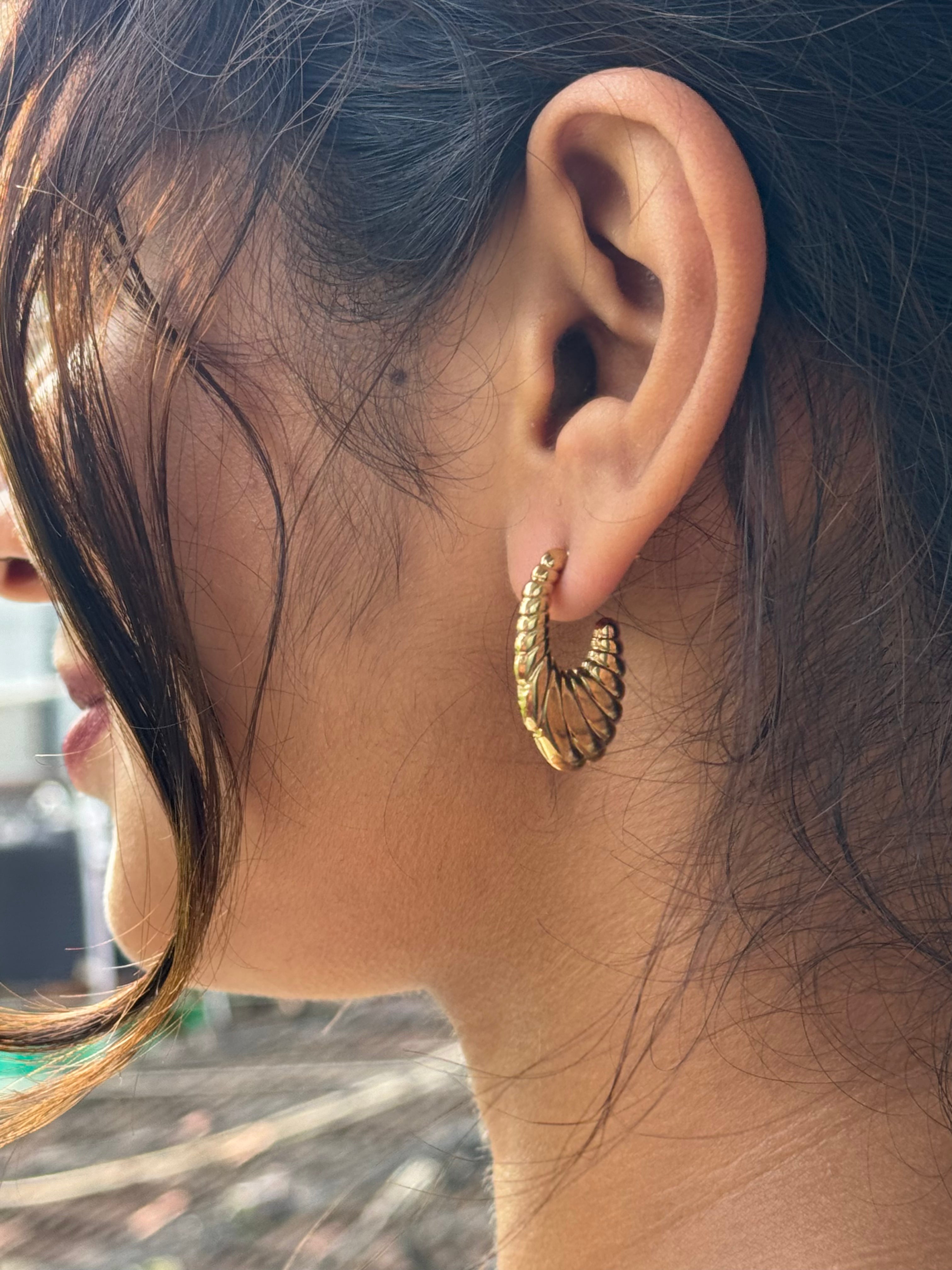 Semi Hooped Shell Earrings