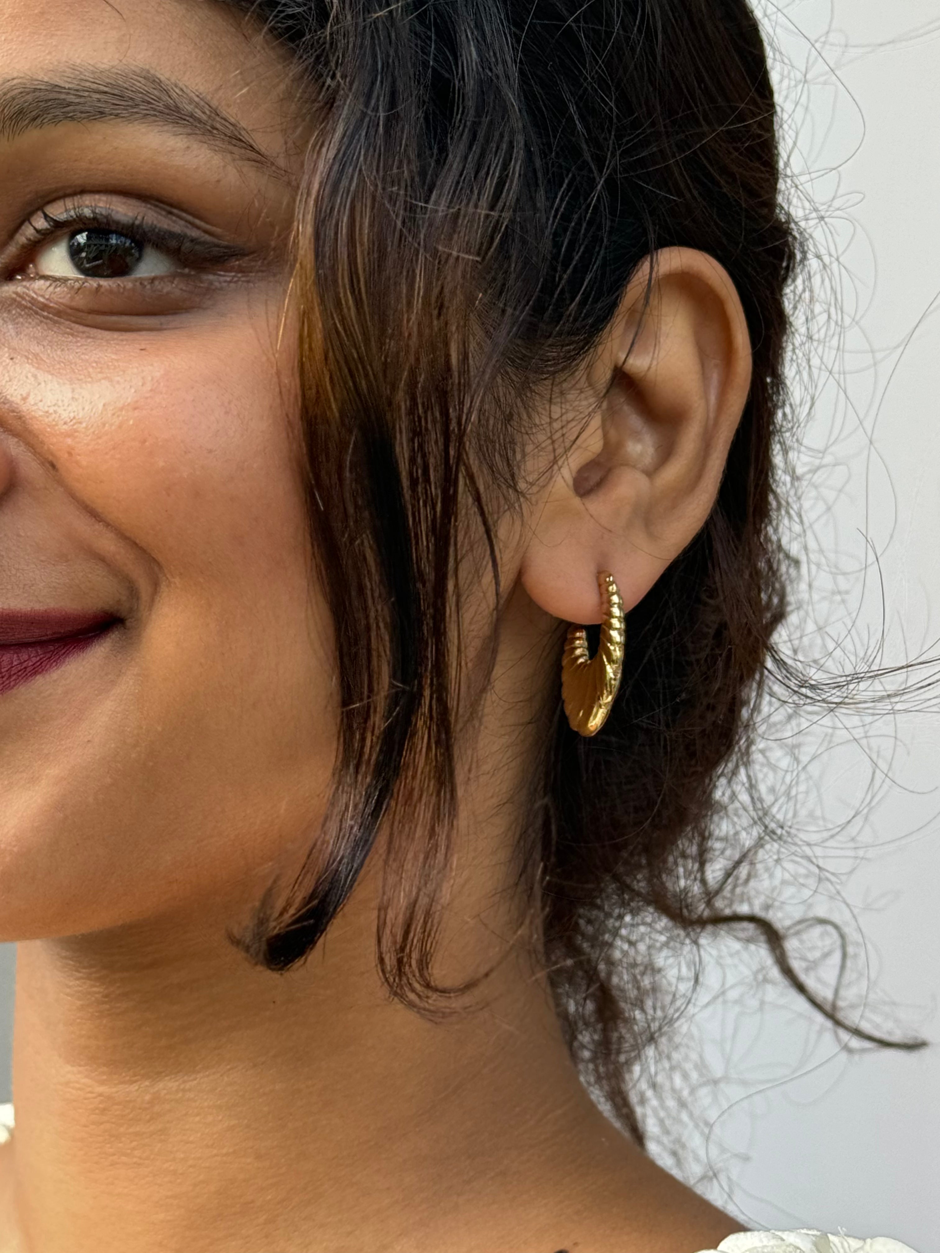 Semi Hooped Shell Earrings
